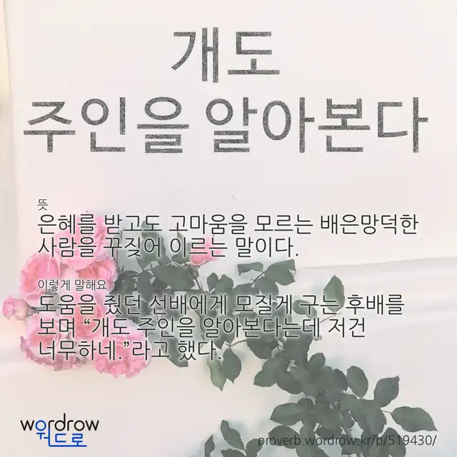 “개도 주인을 알아본다” 글씨와 뜻·예문이 완성된 속담 영상 포스터
