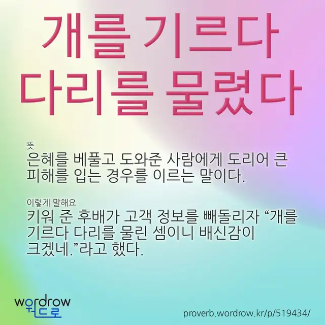 “개를 기르다 다리를 물렸다” 글씨와 뜻·예문이 완성된 속담 영상 포스터