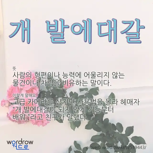 “개 발에대갈” 글씨와 뜻·예문이 완성된 속담 영상 포스터