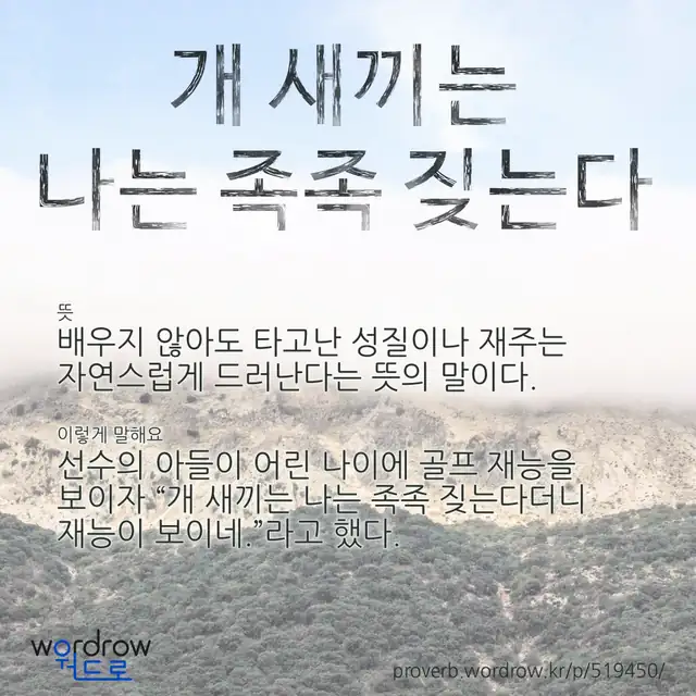 “개 새끼는 나는 족족 짖는다” 글씨와 뜻·예문이 완성된 속담 영상 포스터