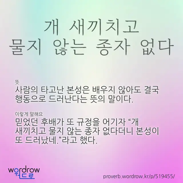 “개 새끼치고 물지 않는 종자 없다” 글씨와 뜻·예문이 완성된 속담 영상 포스터