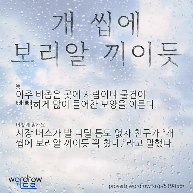 “개 씹에 보리알 끼이듯” 글씨와 뜻·예문이 완성된 속담 영상 포스터