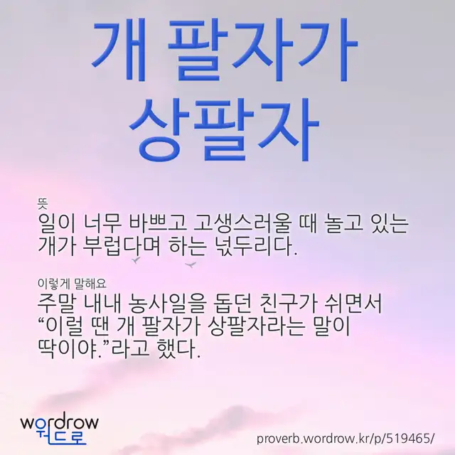 “개 팔자가 상팔자” 글씨와 뜻·예문이 완성된 속담 영상 포스터