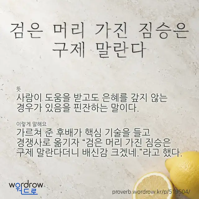 “검은 머리 가진 짐승은 구제 말란다” 글씨와 뜻·예문이 완성된 속담 영상 포스터