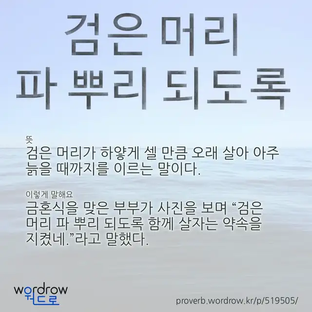 “검은 머리 파 뿌리 되도록” 글씨와 뜻·예문이 완성된 속담 영상 포스터