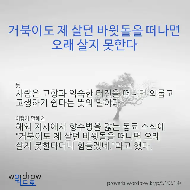 “거북이도 제 살던 바윗돌을 떠나면 오래 살지 못한다” 글씨와 뜻·예문이 완성된 속담 영상 포스터