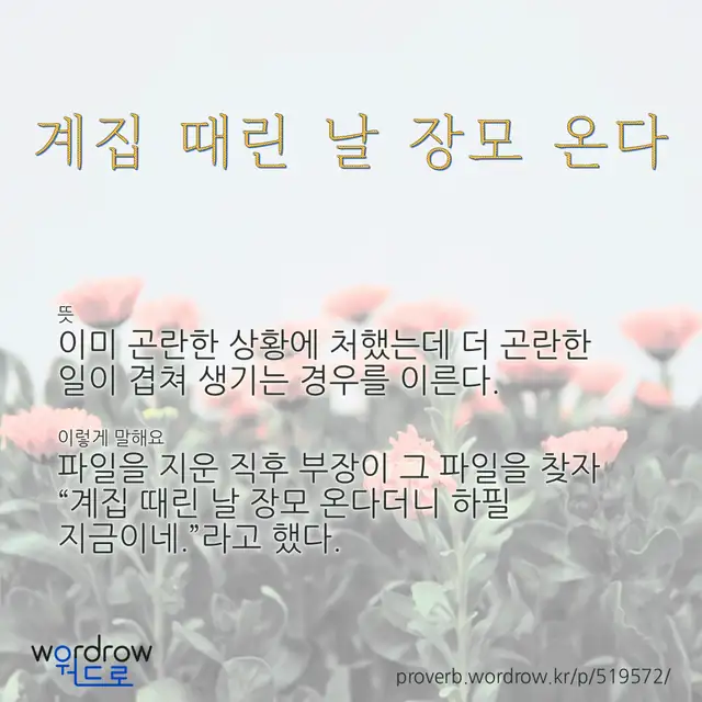 “계집 때린 날 장모 온다” 글씨와 뜻·예문이 완성된 속담 영상 포스터