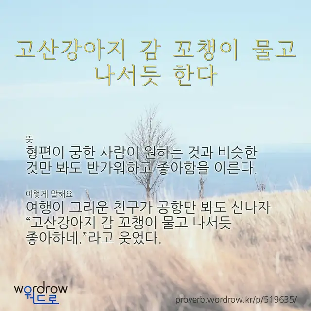 “고산강아지 감 꼬챙이 물고 나서듯 한다” 글씨와 뜻·예문이 완성된 속담 영상 포스터
