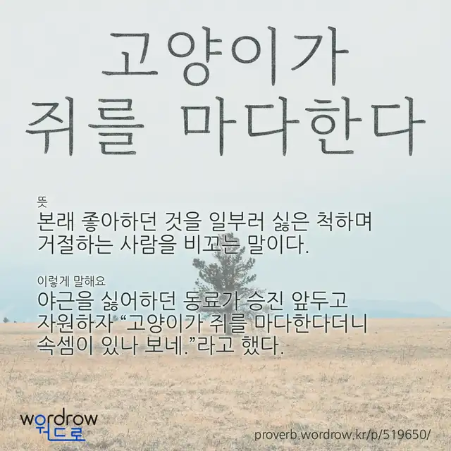 “고양이가 쥐를 마다한다” 글씨와 뜻·예문이 완성된 속담 영상 포스터