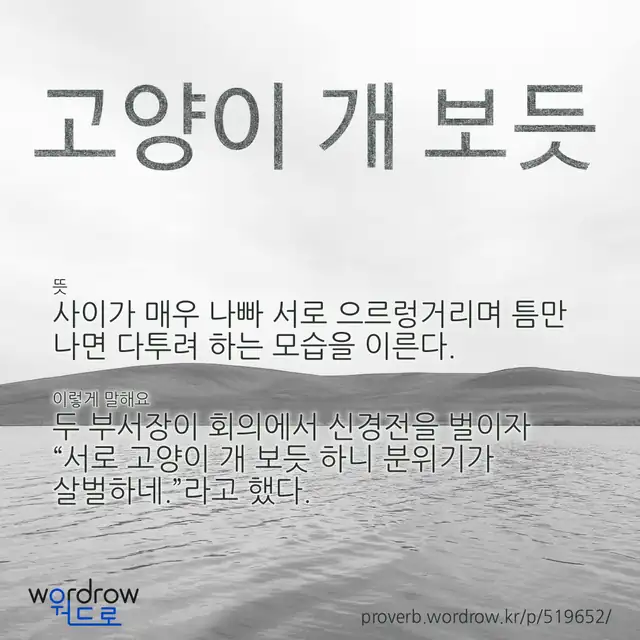 “고양이 개 보듯” 글씨와 뜻·예문이 완성된 속담 영상 포스터
