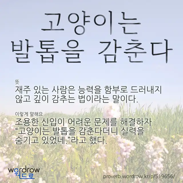“고양이는 발톱을 감춘다” 글씨와 뜻·예문이 완성된 속담 영상 포스터