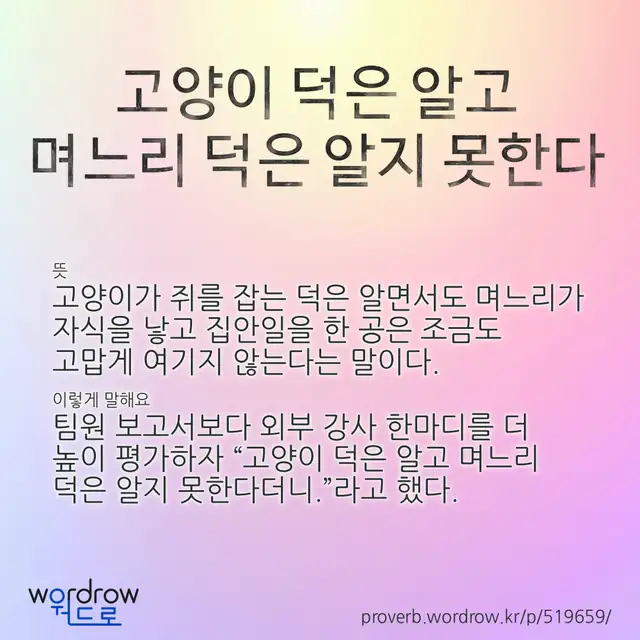 “고양이 덕은 알고 며느리 덕은 알지 못한다” 글씨와 뜻·예문이 완성된 속담 영상 포스터