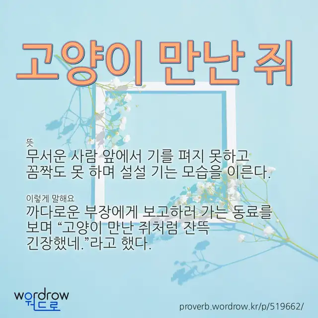 “고양이 만난 쥐” 글씨와 뜻·예문이 완성된 속담 영상 포스터