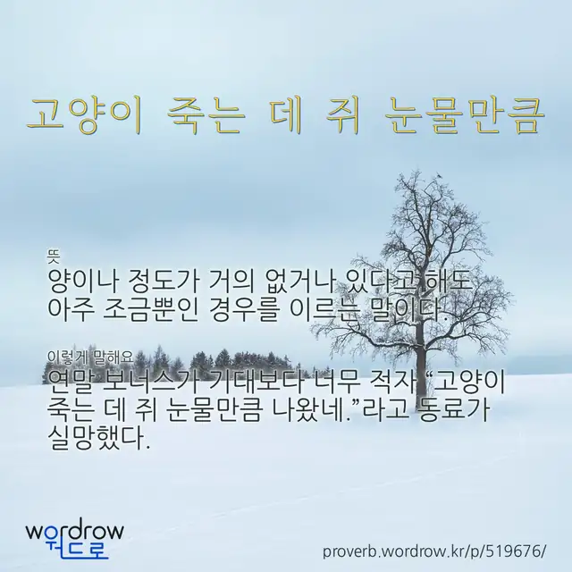 “고양이 죽는 데 쥐 눈물만큼” 글씨와 뜻·예문이 완성된 속담 영상 포스터