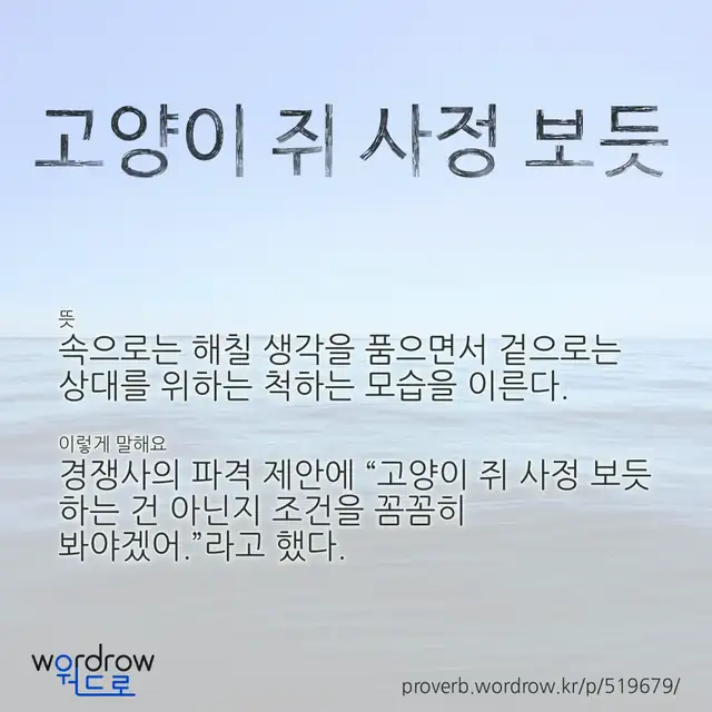“고양이 쥐 사정 보듯” 글씨와 뜻·예문이 완성된 속담 영상 포스터