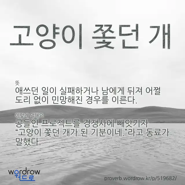 “고양이 쫓던 개” 글씨와 뜻·예문이 완성된 속담 영상 포스터