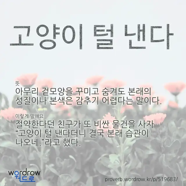 “고양이 털 낸다” 글씨와 뜻·예문이 완성된 속담 영상 포스터