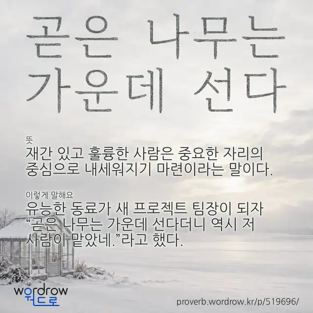 “곧은 나무는 가운데 선다” 글씨와 뜻·예문이 완성된 속담 영상 포스터