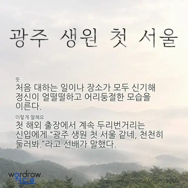 “광주 생원 첫 서울” 글씨와 뜻·예문이 완성된 속담 영상 포스터