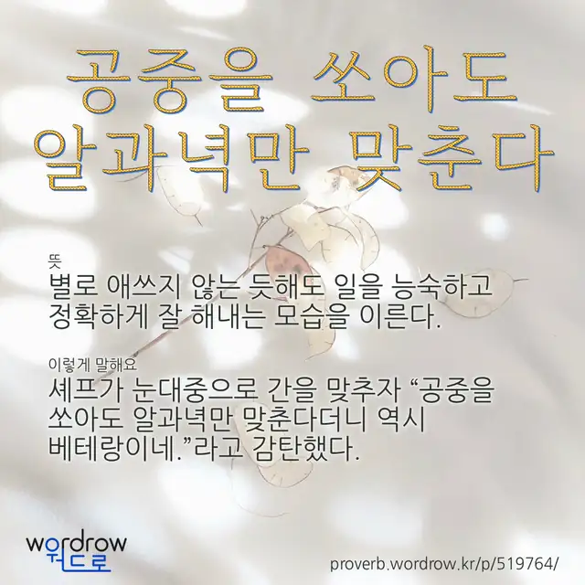 “공중을 쏘아도 알과녁만 맞춘다” 글씨와 뜻·예문이 완성된 속담 영상 포스터