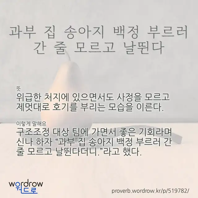 “과부 집 송아지 백정 부르러 간 줄 모르고 날뛴다” 글씨와 뜻·예문이 완성된 속담 영상 포스터