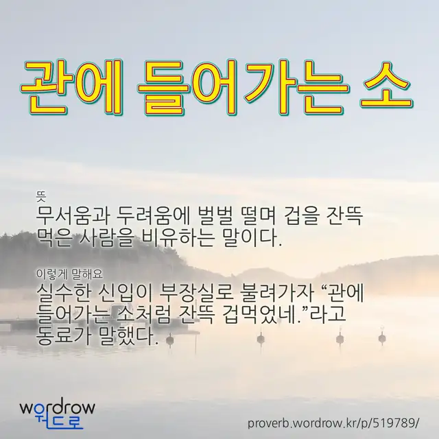 “관에 들어가는 소” 글씨와 뜻·예문이 완성된 속담 영상 포스터