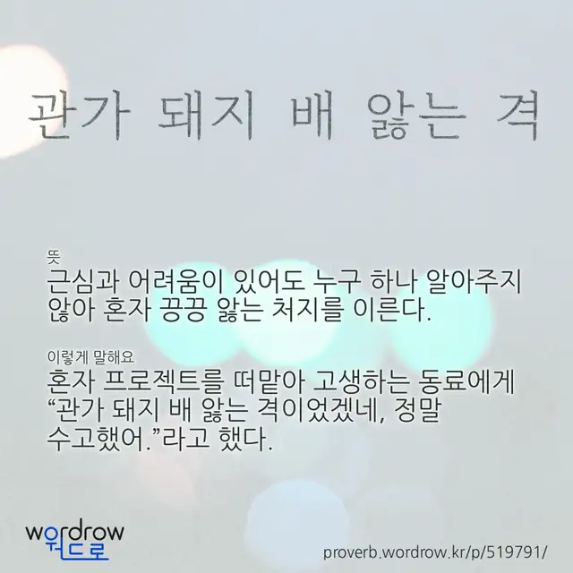 “관가 돼지 배 앓는 격” 글씨와 뜻·예문이 완성된 속담 영상 포스터