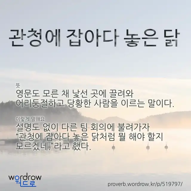 “관청에 잡아다 놓은 닭” 글씨와 뜻·예문이 완성된 속담 영상 포스터