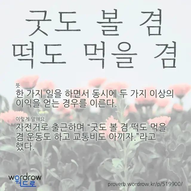 “굿도 볼 겸 떡도 먹을 겸” 글씨와 뜻·예문이 완성된 속담 영상 포스터