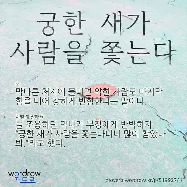 “궁한 새가 사람을 쫓는다” 글씨와 뜻·예문이 완성된 속담 영상 포스터