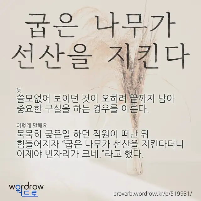 “굽은 나무가 선산을 지킨다” 글씨와 뜻·예문이 완성된 속담 영상 포스터