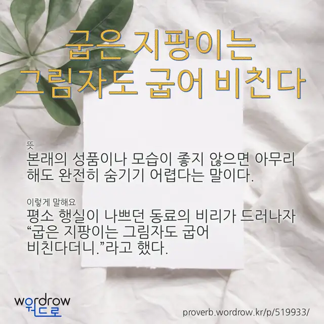 “굽은 지팡이는 그림자도 굽어 비친다” 글씨와 뜻·예문이 완성된 속담 영상 포스터