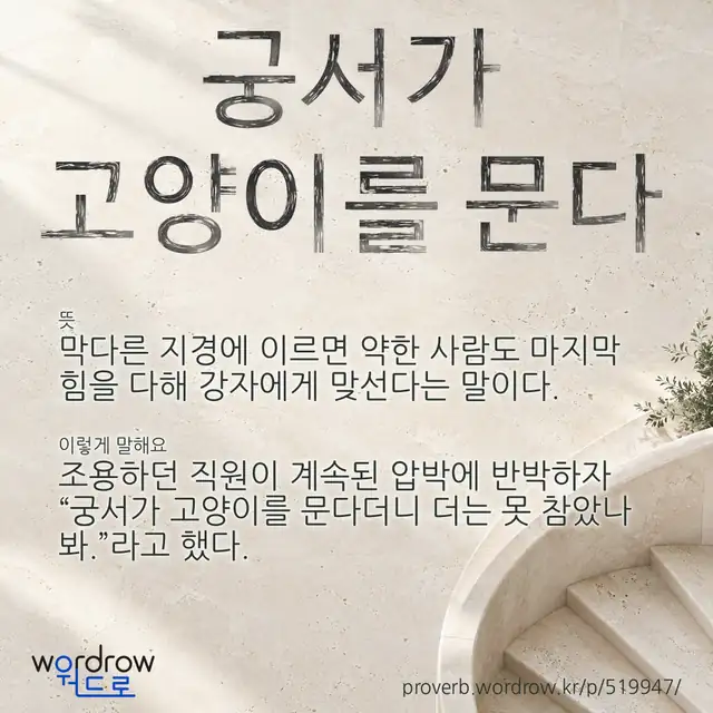 “궁서가 고양이를 문다” 글씨와 뜻·예문이 완성된 속담 영상 포스터