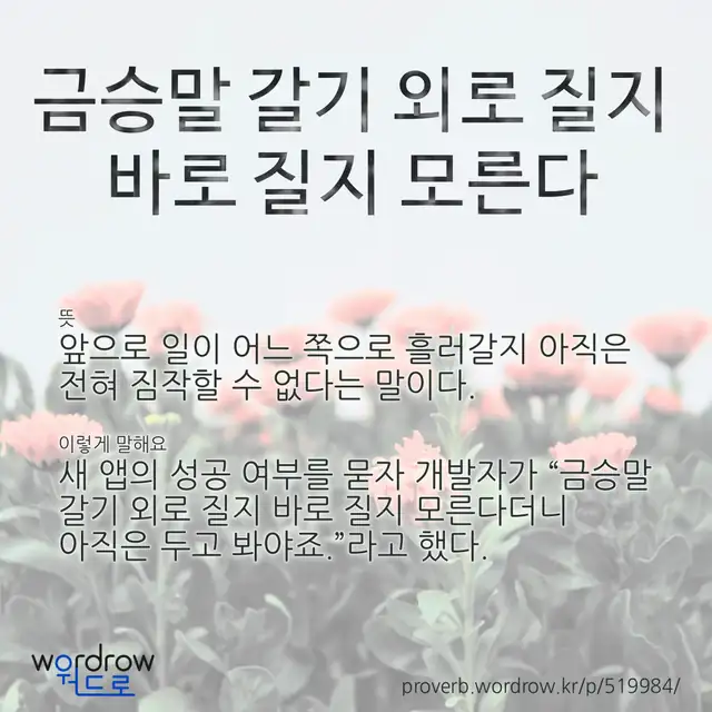 “금승말 갈기 외로 질지 바로 질지 모른다” 글씨와 뜻·예문이 완성된 속담 영상 포스터