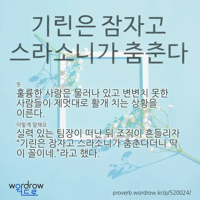 “기린은 잠자고 스라소니가 춤춘다” 글씨와 뜻·예문이 완성된 속담 영상 포스터