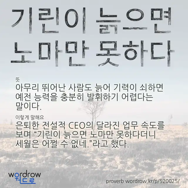 “기린이 늙으면 노마만 못하다” 글씨와 뜻·예문이 완성된 속담 영상 포스터