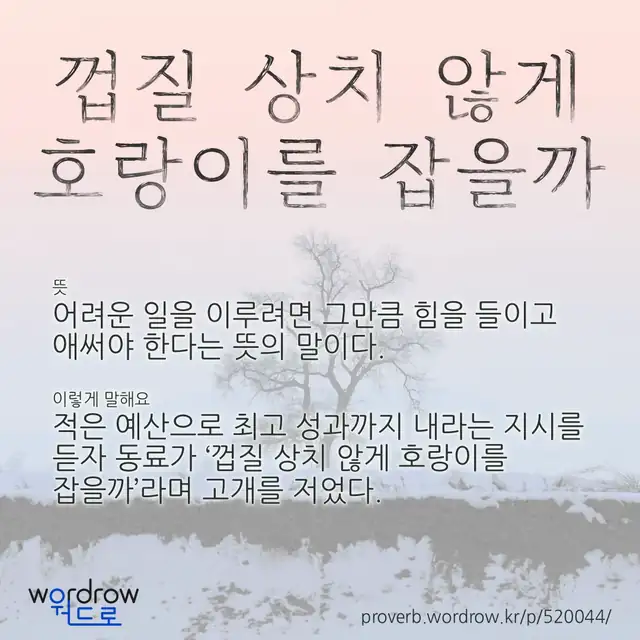 “껍질 상치 않게 호랑이를 잡을까” 글씨와 뜻·예문이 완성된 속담 영상 포스터