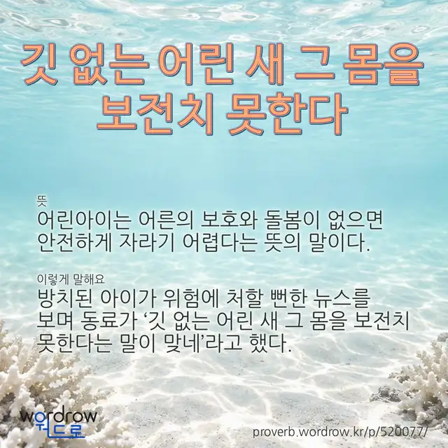 “깃 없는 어린 새 그 몸을 보전치 못한다” 글씨와 뜻·예문이 완성된 속담 영상 포스터
