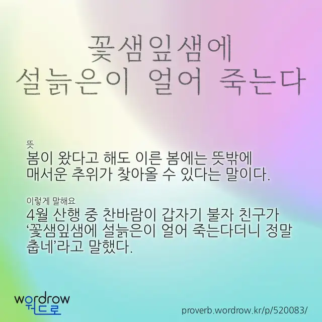 “꽃샘잎샘에 설늙은이 얼어 죽는다” 글씨와 뜻·예문이 완성된 속담 영상 포스터