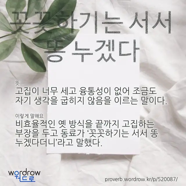 “꼿꼿하기는 서서 똥 누겠다” 글씨와 뜻·예문이 완성된 속담 영상 포스터