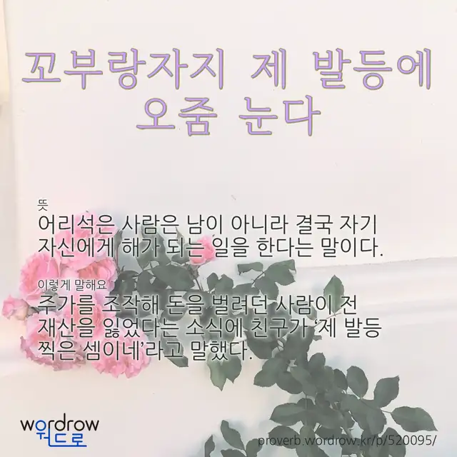 “꼬부랑자지 제 발등에 오줌 눈다” 글씨와 뜻·예문이 완성된 속담 영상 포스터