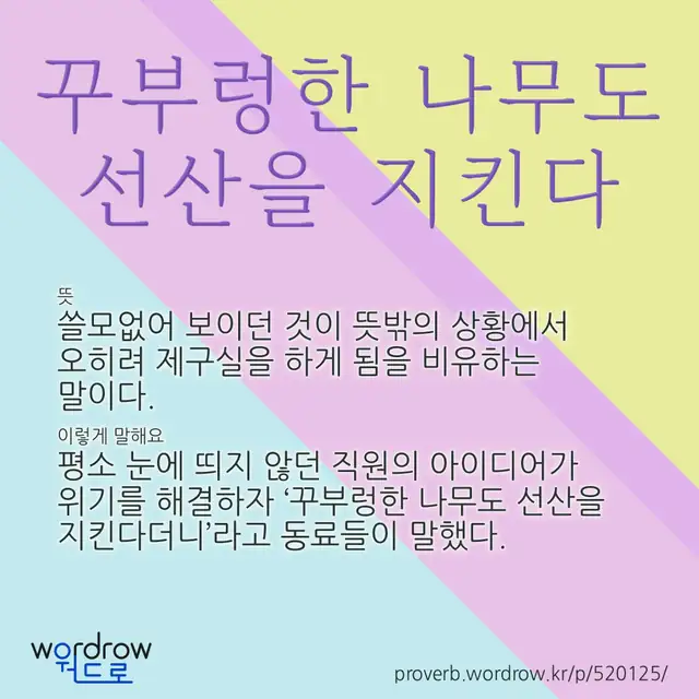 “꾸부렁한 나무도 선산을 지킨다” 글씨와 뜻·예문이 완성된 속담 영상 포스터