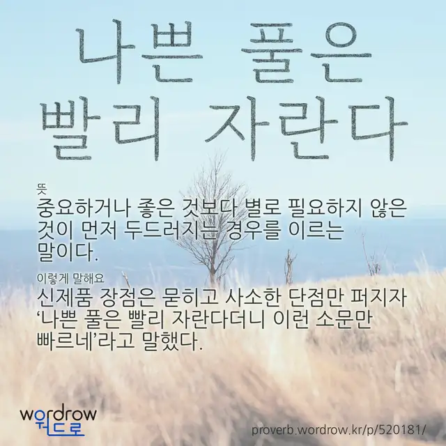 “나쁜 풀은 빨리 자란다” 글씨와 뜻·예문이 완성된 속담 영상 포스터