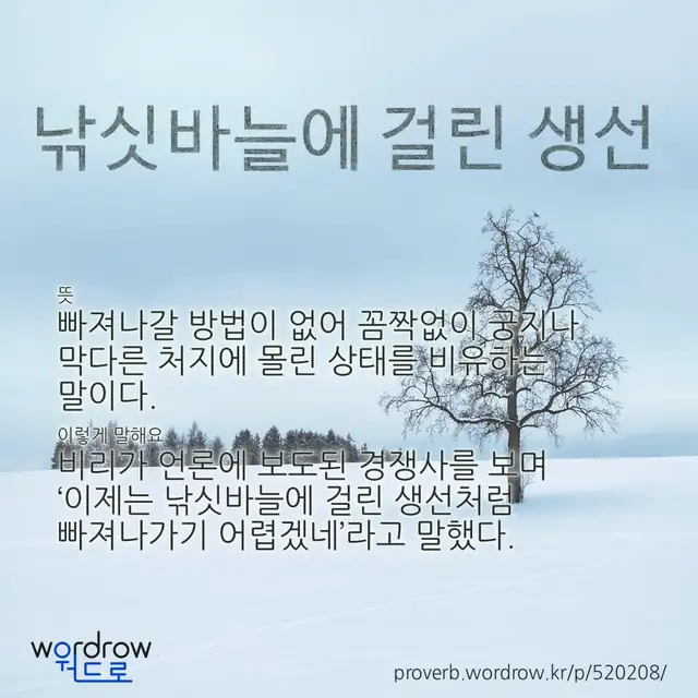 “낚싯바늘에 걸린 생선” 글씨와 뜻·예문이 완성된 속담 영상 포스터