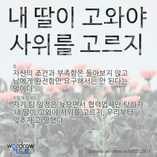 “내 딸이 고와야 사위를 고르지” 글씨와 뜻·예문이 완성된 속담 영상 포스터