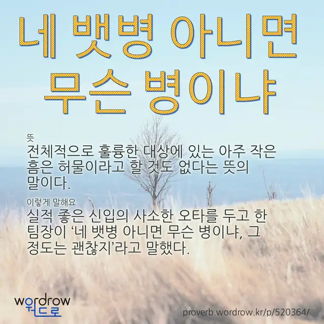 “네 뱃병 아니면 무슨 병이냐” 글씨와 뜻·예문이 완성된 속담 영상 포스터