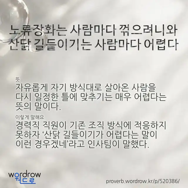 “노류장화는 사람마다 꺾으려니와 산닭 길들이기는 사람마다 어렵다” 글씨와 뜻·예문이 완성된 속담 영상 포스터