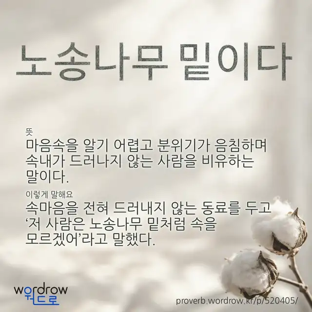 “노송나무 밑이다” 글씨와 뜻·예문이 완성된 속담 영상 포스터