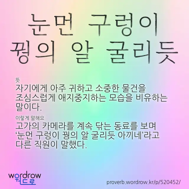 “눈먼 구렁이 꿩의 알 굴리듯” 글씨와 뜻·예문이 완성된 속담 영상 포스터