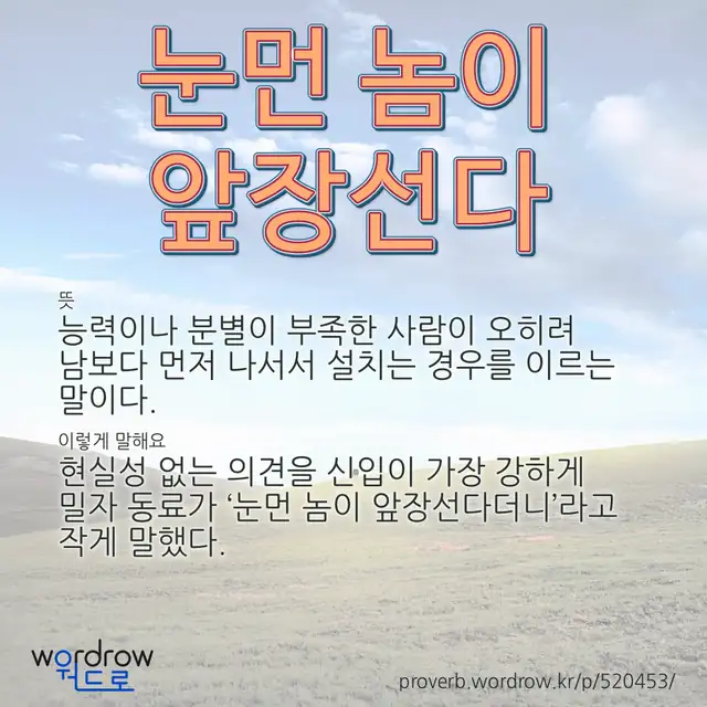 “눈먼 놈이 앞장선다” 글씨와 뜻·예문이 완성된 속담 영상 포스터